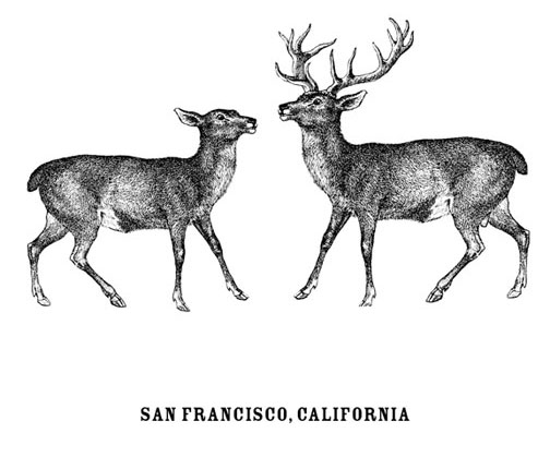 deer